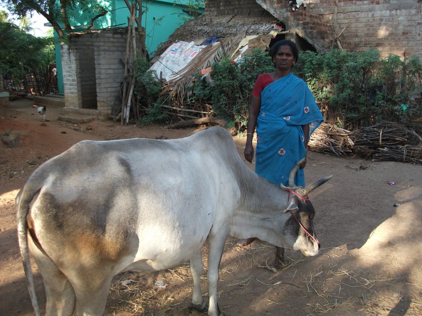 Women's Skill Development