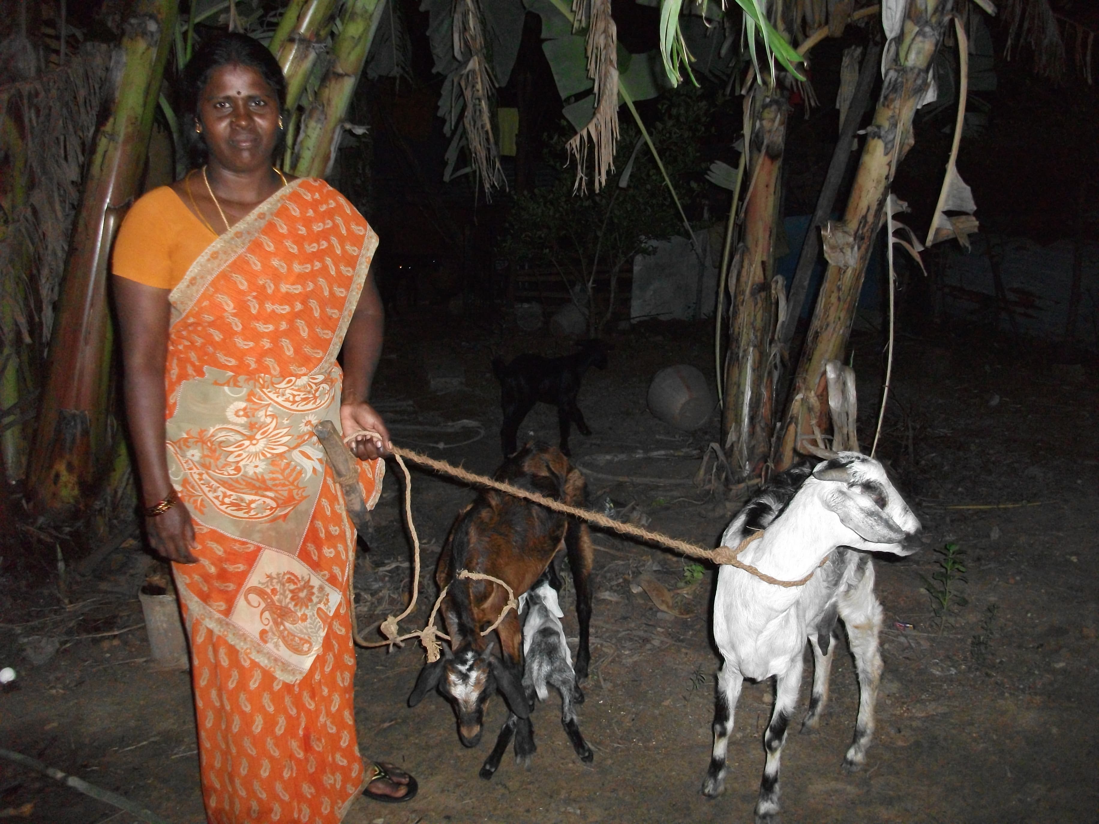 Economic Independence Program