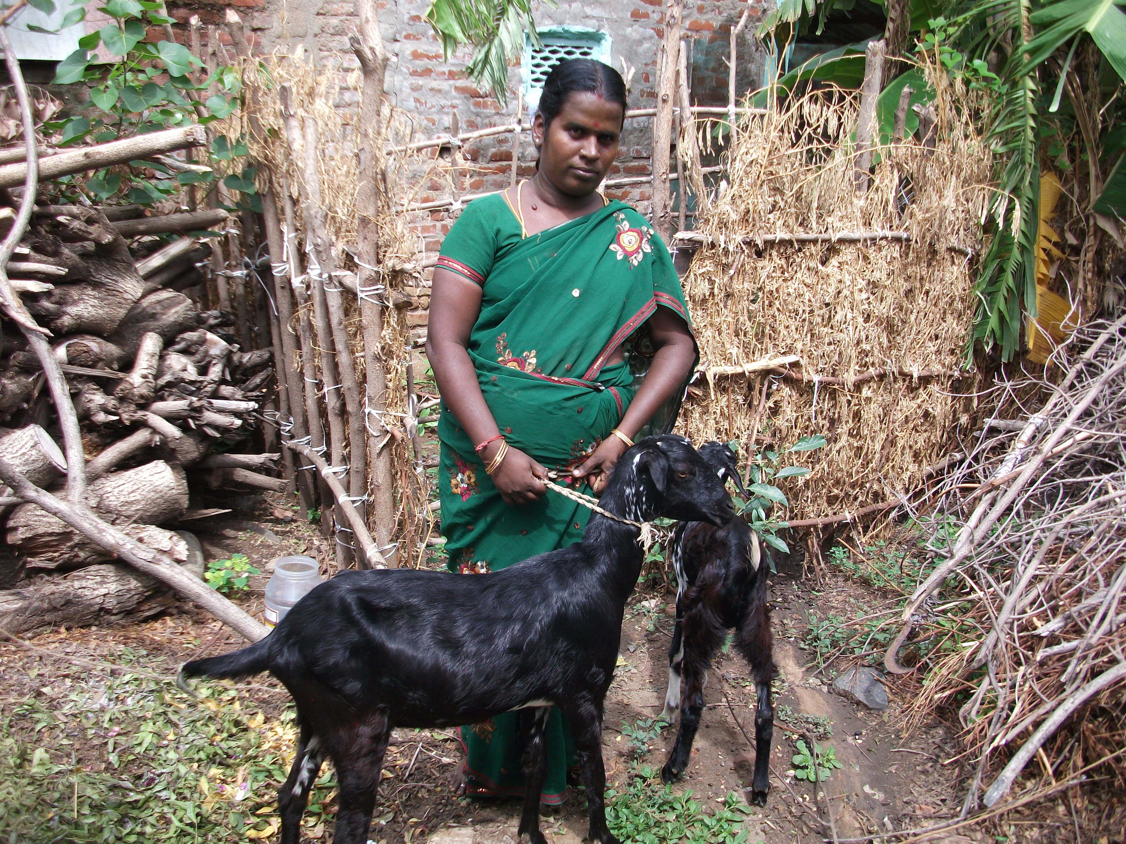 Women's Success Stories